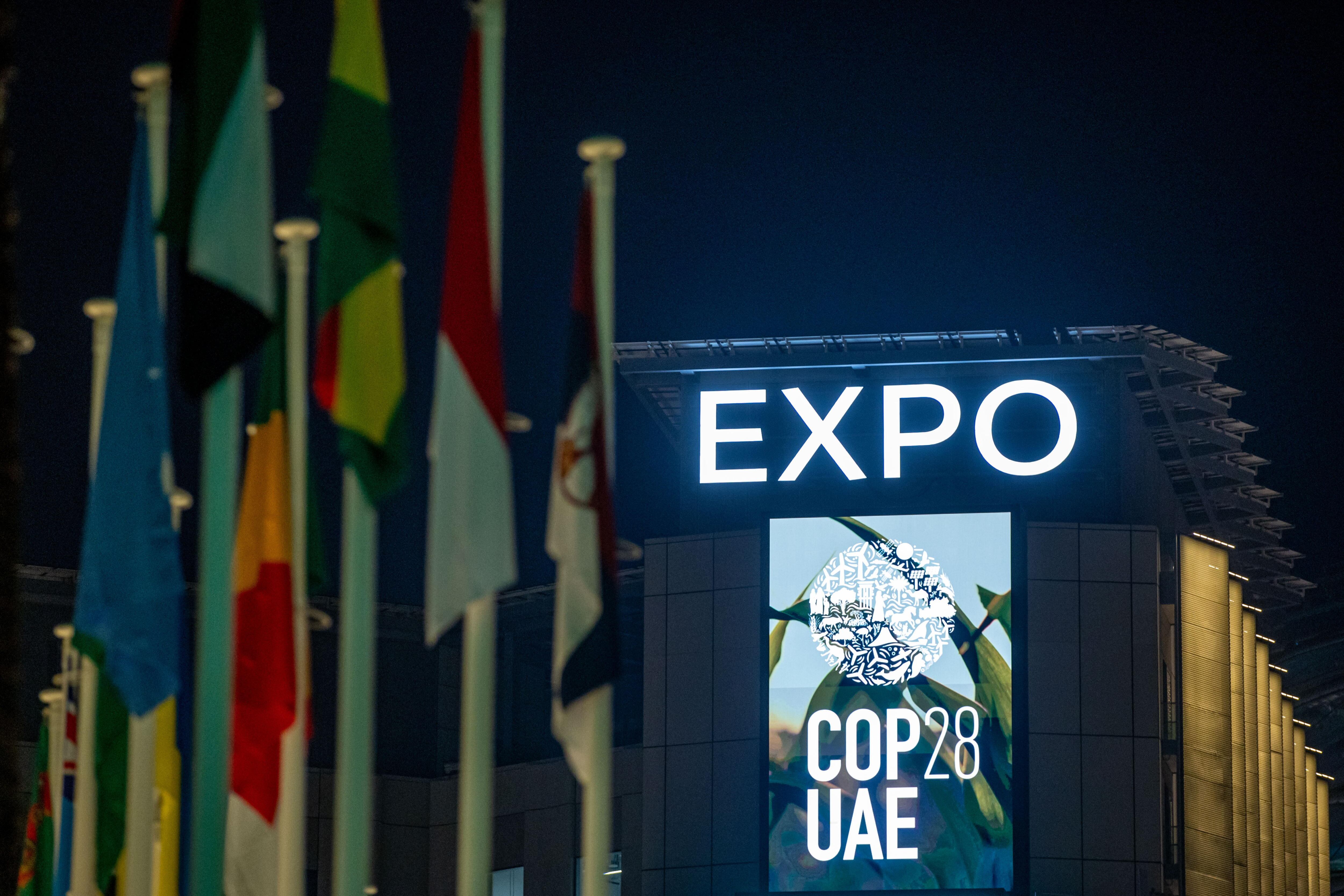 Conferencia de las Naciones Unidas sobre el Cambio Climático (COP28) de 2023. (Emiratos Árabes Unidos) EFE/EPA/MARTIN DIVISEK