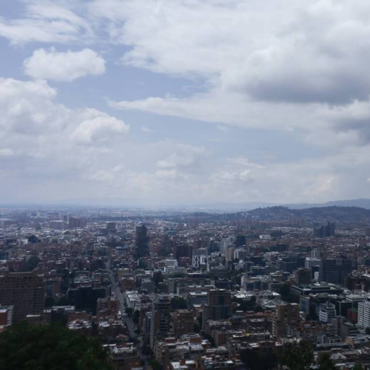 Bogotá es reconocida en WWF por sus planes para enfrentar el cambio climático