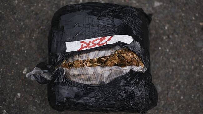 Capturan a mujer que ocultaba droga en maletín escolar de uno de sus hijos. Foto: Getty Images