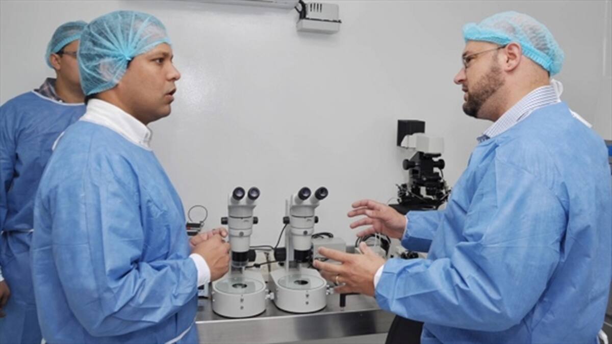 El Cesar producirá el primer clon bovino de Colombia