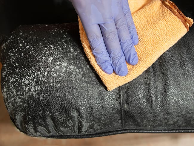 Persona limpiando con guantes un mueble que tiene moho (Getty Images)