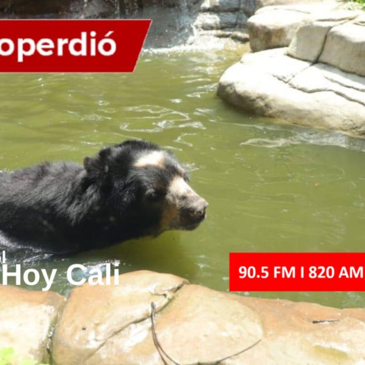 Cali Hoy por Hoy 08 de septiembre del 2020