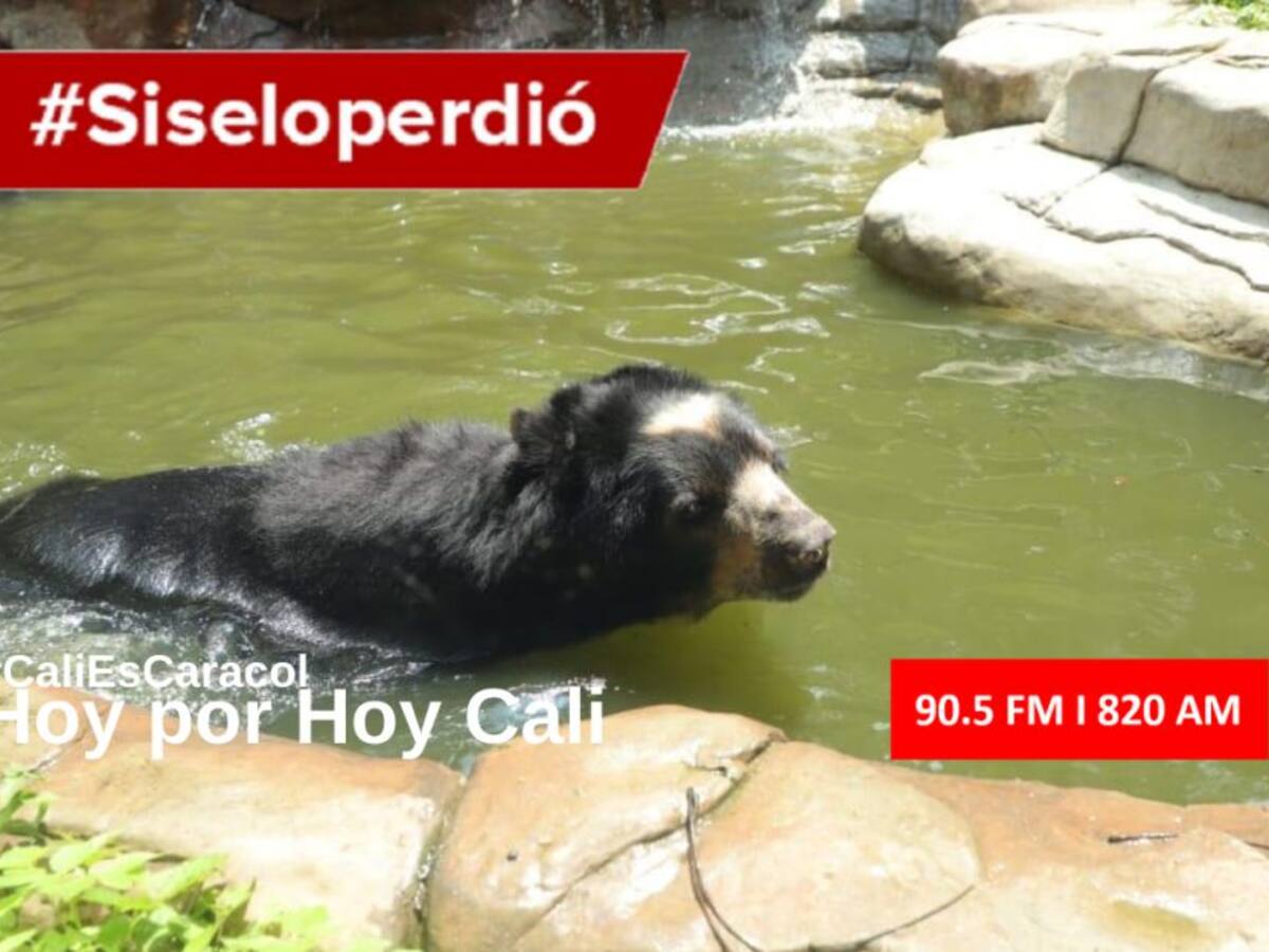 Cali Hoy por Hoy 08 de septiembre del 2020