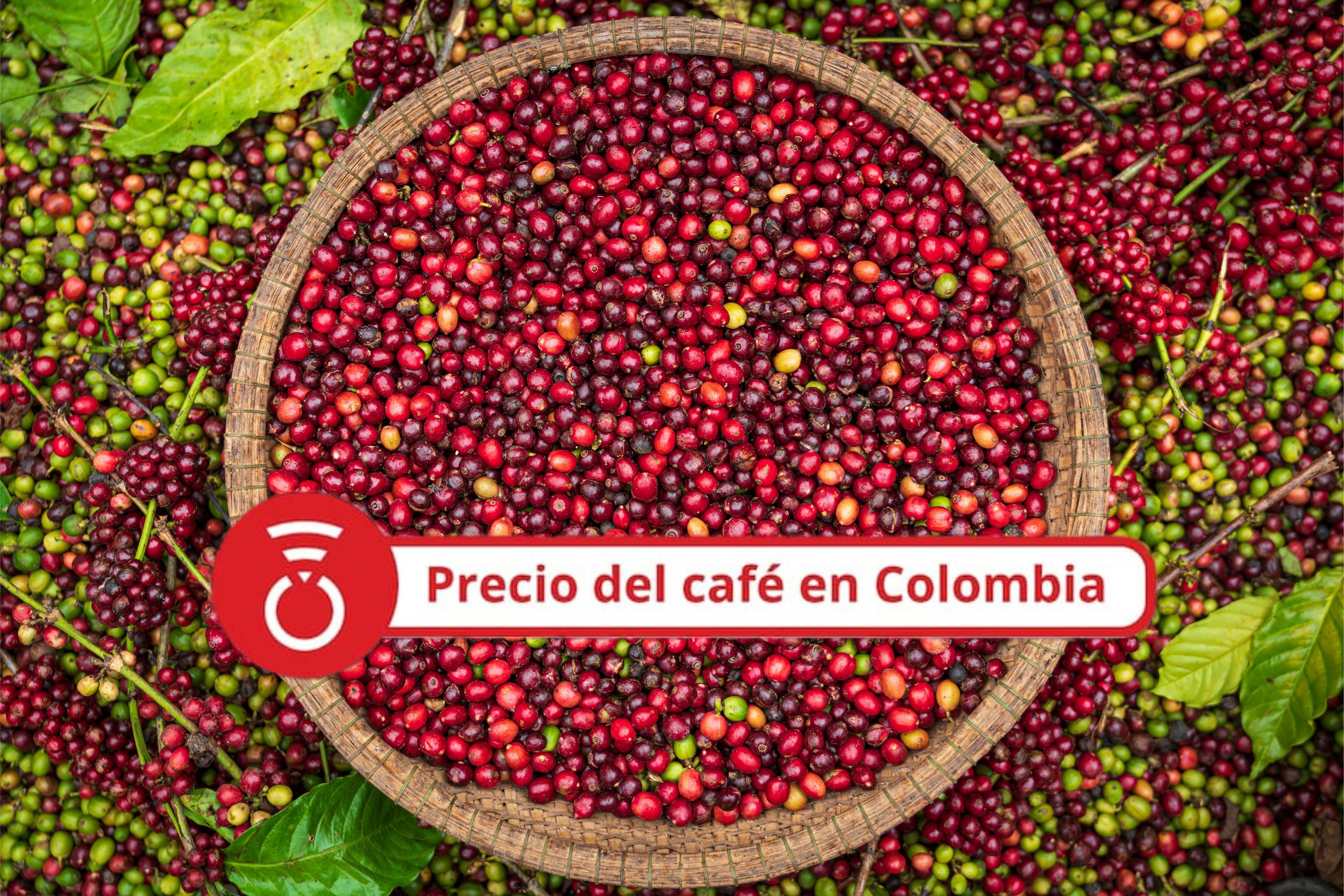 Precio Café 31 de agosto. Foto Getty Images