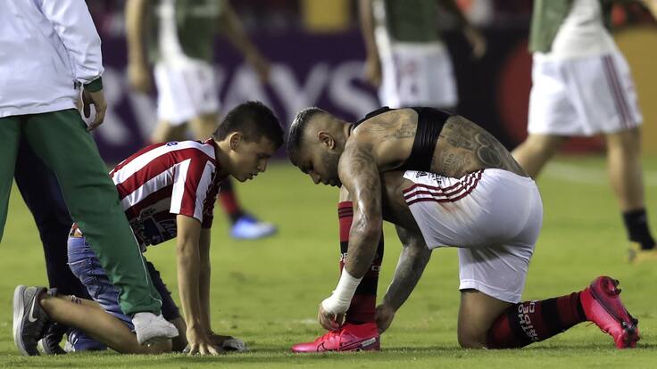 Pulso 5 de marzo de 2020