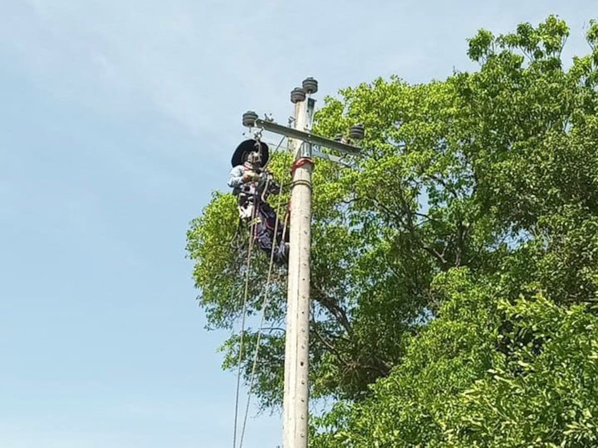Juez de Cartagena se pronunció en caso contra empresa Afinia: ¿Qué dijo?