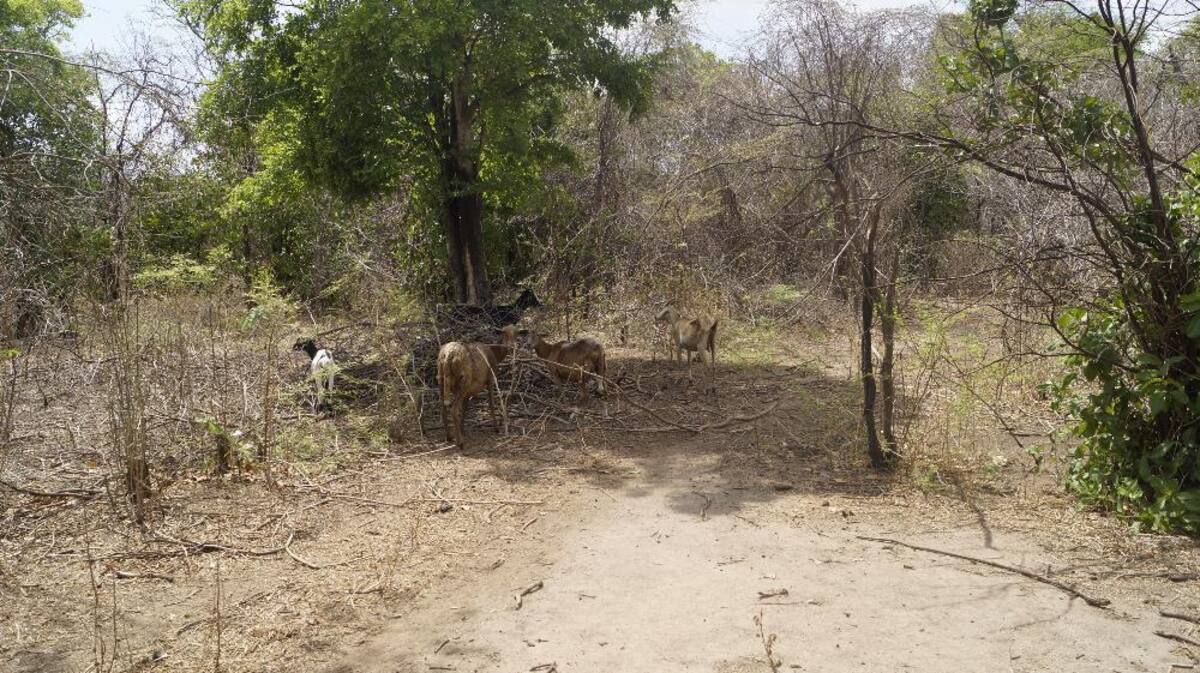 Recorrido de Caracol Radio por las zonas que aguantan sed. Fotos de Luis Enrique Rodríguez