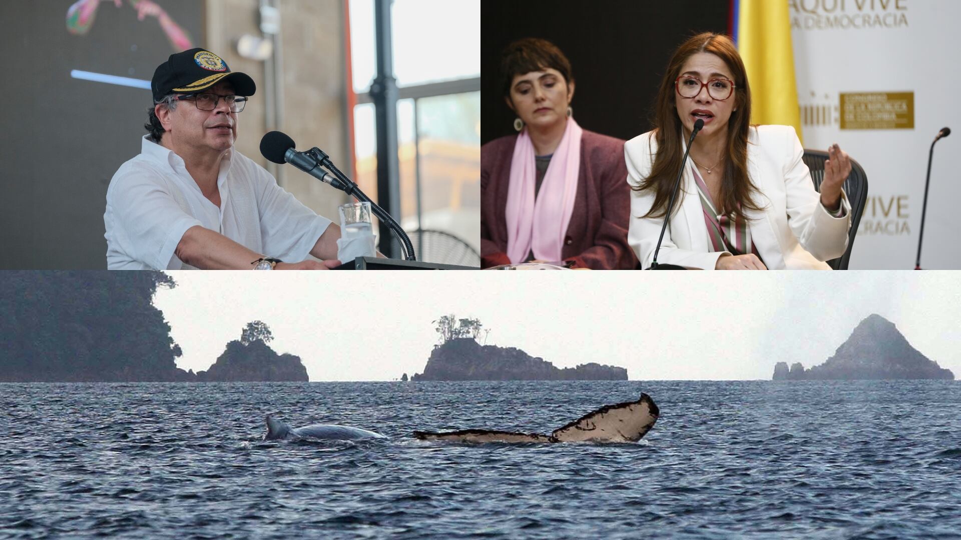 Críticas a Gobierno Petro por proyecto en Parque Gorgona - Colprensa