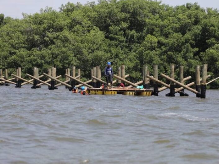 Ecoparque Mallorquín (Cortesía Alcaldía de Barranquilla)