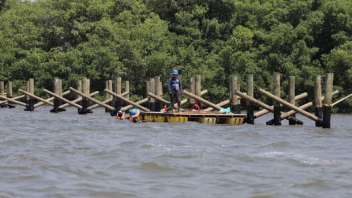 Barranquilla es reconocida por la ONU como ciudad modelo en medioambiente