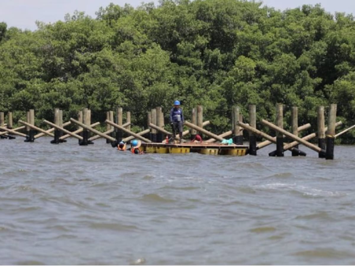 MinHacienda autoriza crédito de USD 50 millones para proyectos ambientales y urbanos en Barranquilla