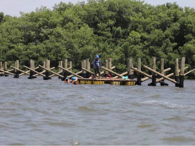 Ecoparque Mallorquín (Cortesía Alcaldía de Barranquilla)