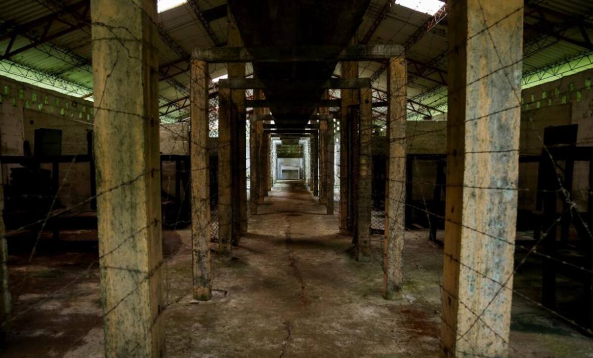 La naturaleza reclama su territorio y se instala en las ruinas de lo que alguna vez fue un temido lugar de reclusión en el Pacífico colombiano.