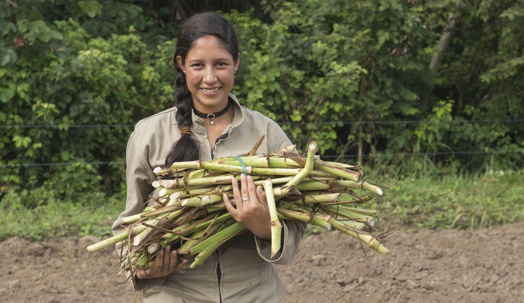 Mujer rural
