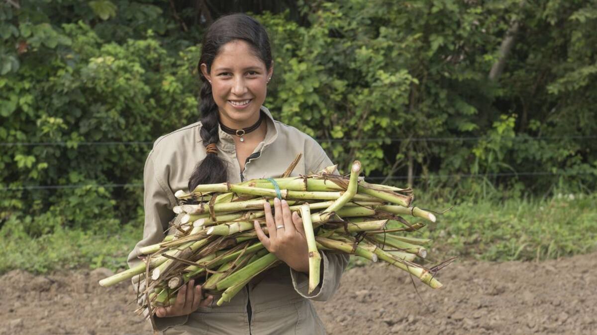 Las mujeres en el campo, duro trabajo y muy poca compensación