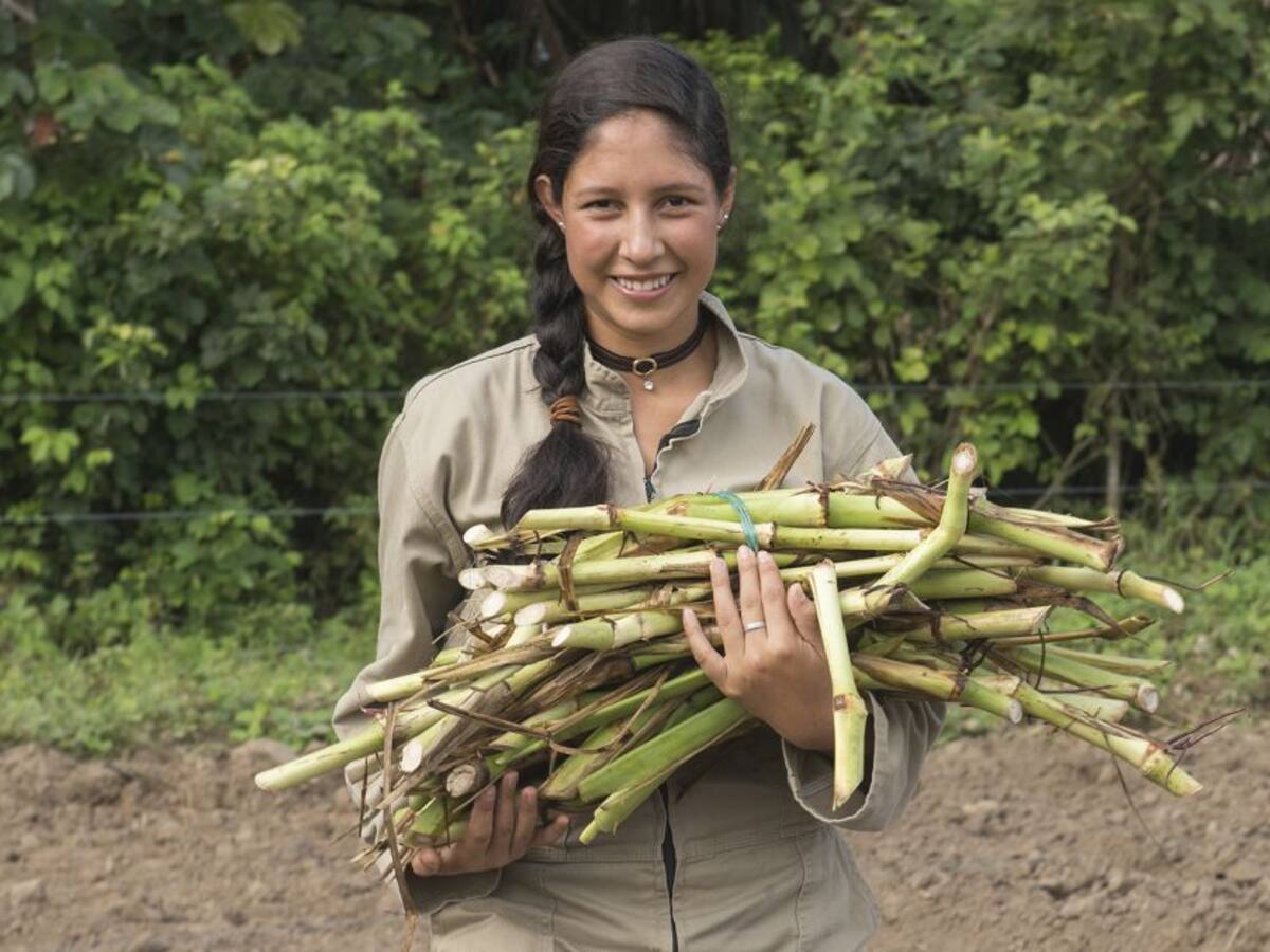 Las mujeres en el campo, duro trabajo y muy poca compensación