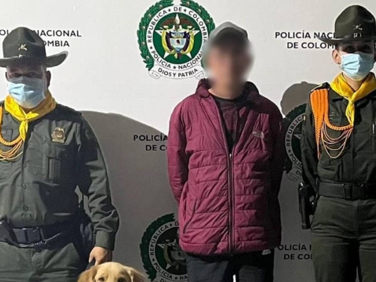 La Policía incautó cargamento de droga en la vía a la Línea en el Tolima