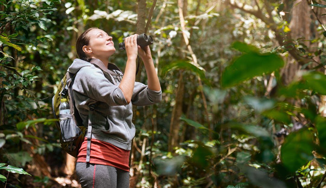 Avistamiento de aves 