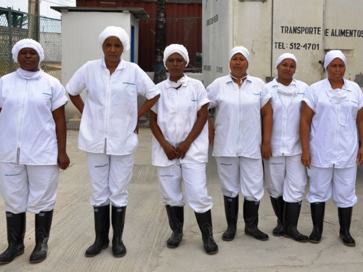 Cartagena completa 49 mil desempleados desde el comienzo de la pandemia
