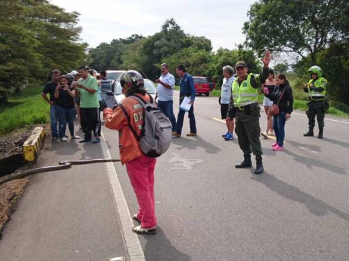 Cierran momentáneamente vía para que serpiente pueda cruzar en el Meta