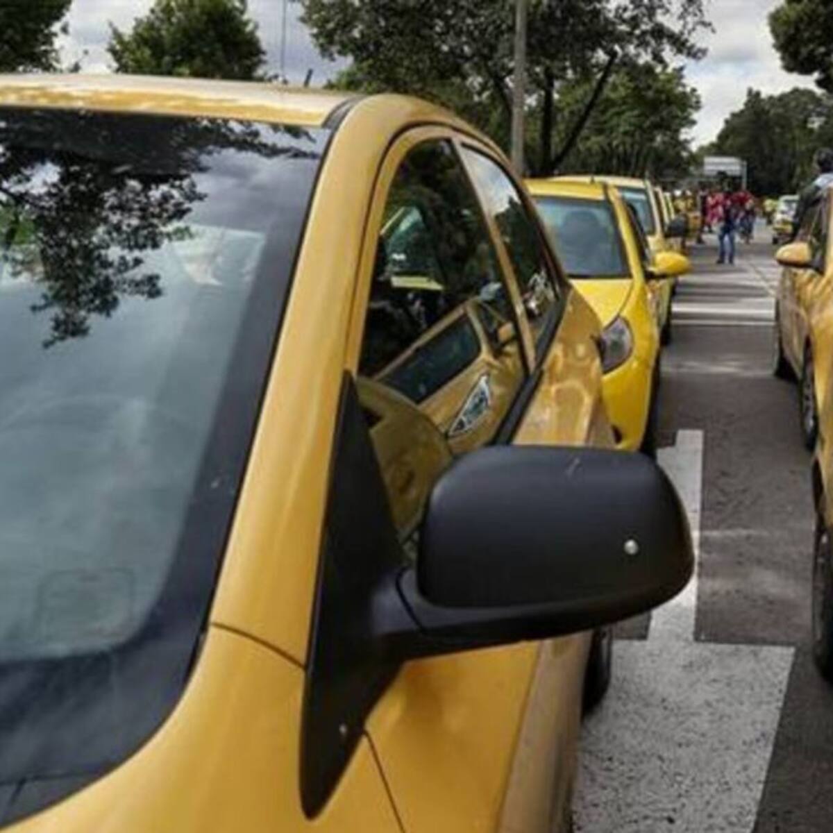 Anuncian sanciones a taxistas de Pereira que se nieguen a llevar pasajeros