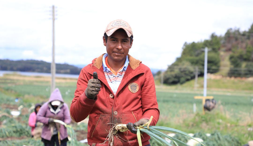 Vivienda rural en el Magdalena