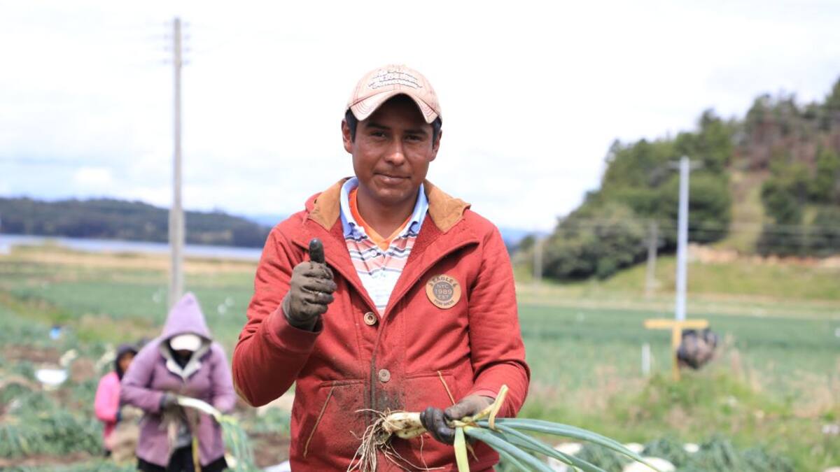 Magdalenenses se beneficirán con el programa Vivienda Social para el Campo
