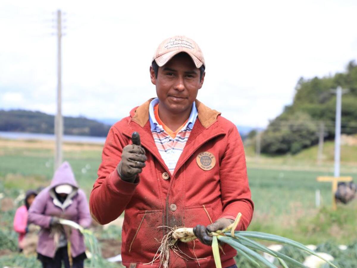 Magdalenenses se beneficirán con el programa Vivienda Social para el Campo