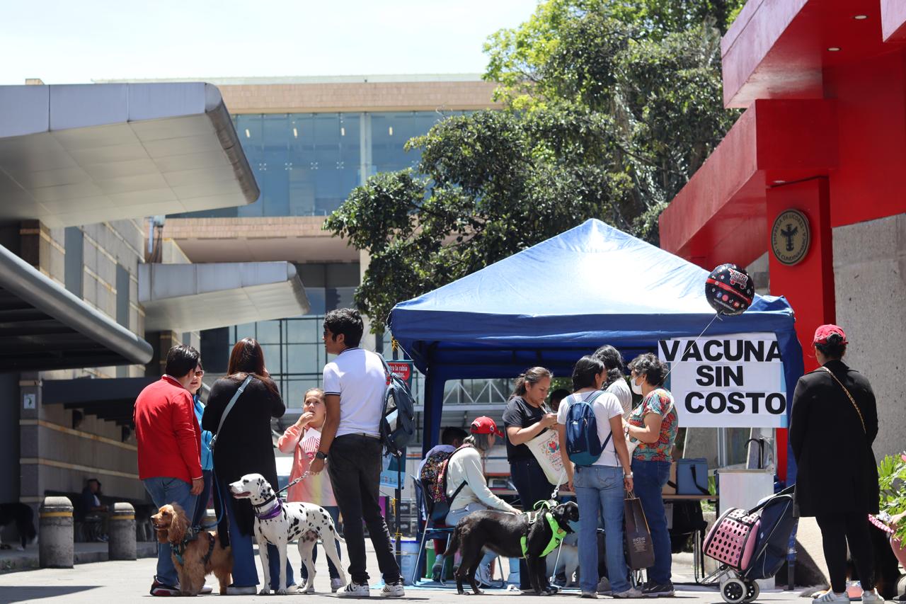 Vacunación animales - Secretaría de Salud Bogotá