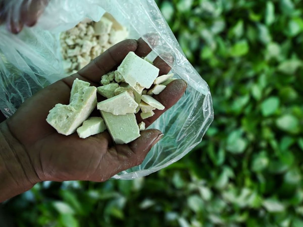 La cocaína puede superar al petróleo como principal producto de exportación de Colombia