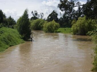 Reserva Forestal Cuenca Alta del río Bogotá. Foto: http://www.camacolcundinamarca.co/