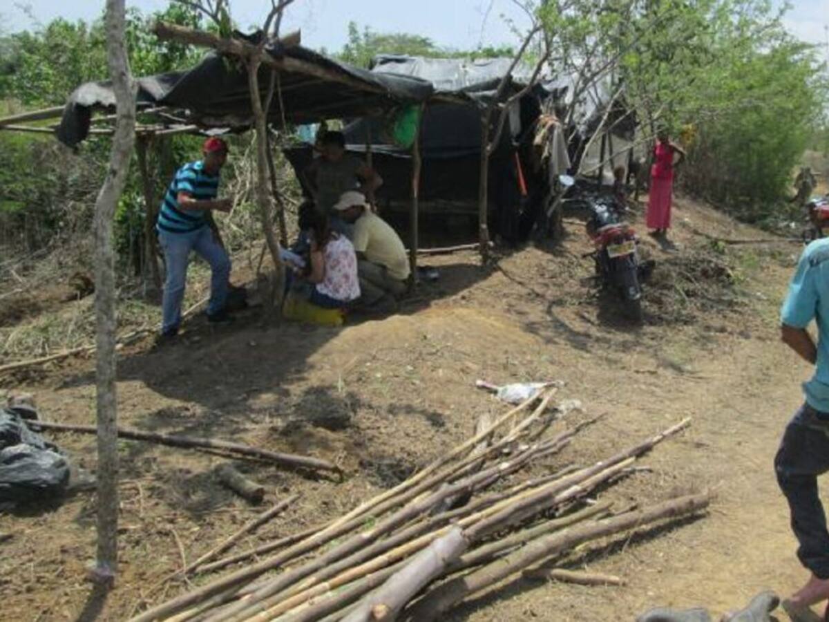 Menor de 15 años se salvó de morir tras caerle un tronco en la vereda Púa