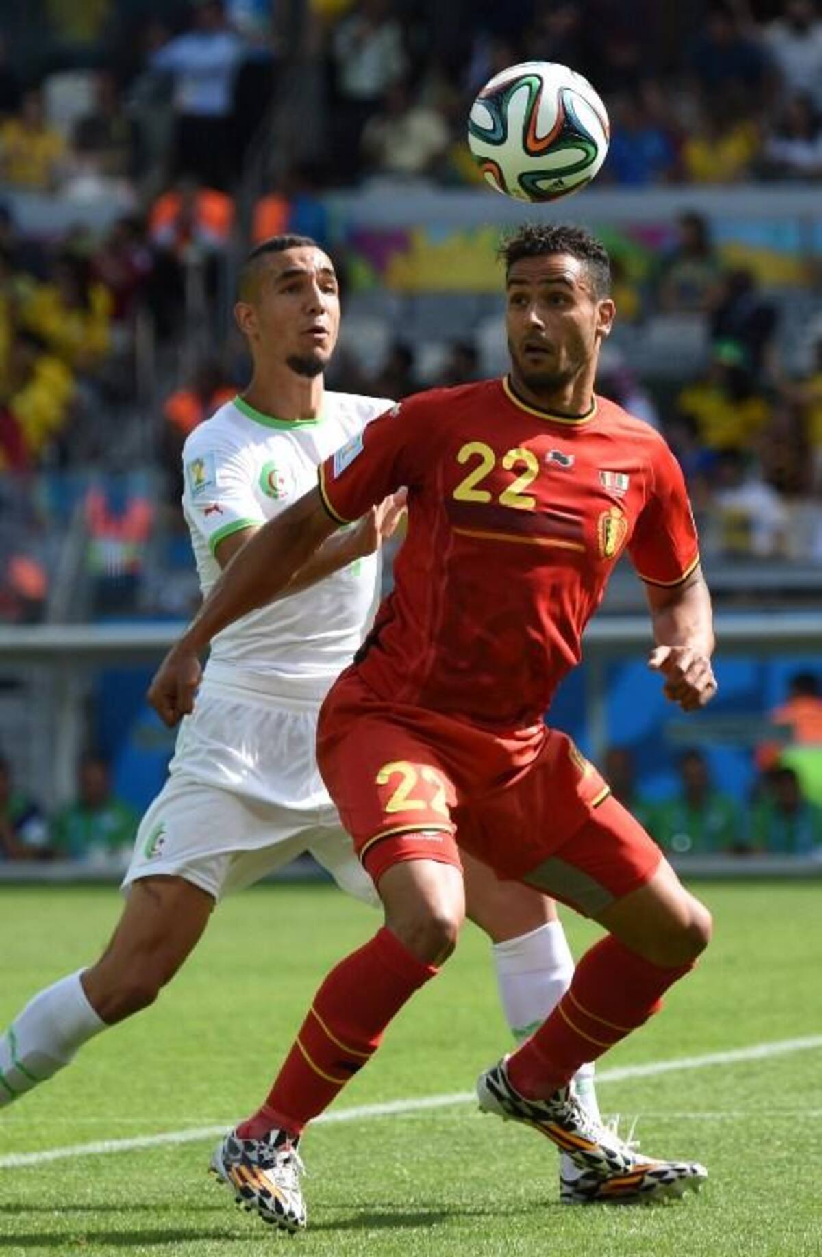 Sofiane Feghouli abrió el marcador en el minuto 24 desde el punto penal y Fellaini consiguió el empate en el 70. Mertens consiguió el 2-1 y le dio la victoria a los "Diablo rojos".