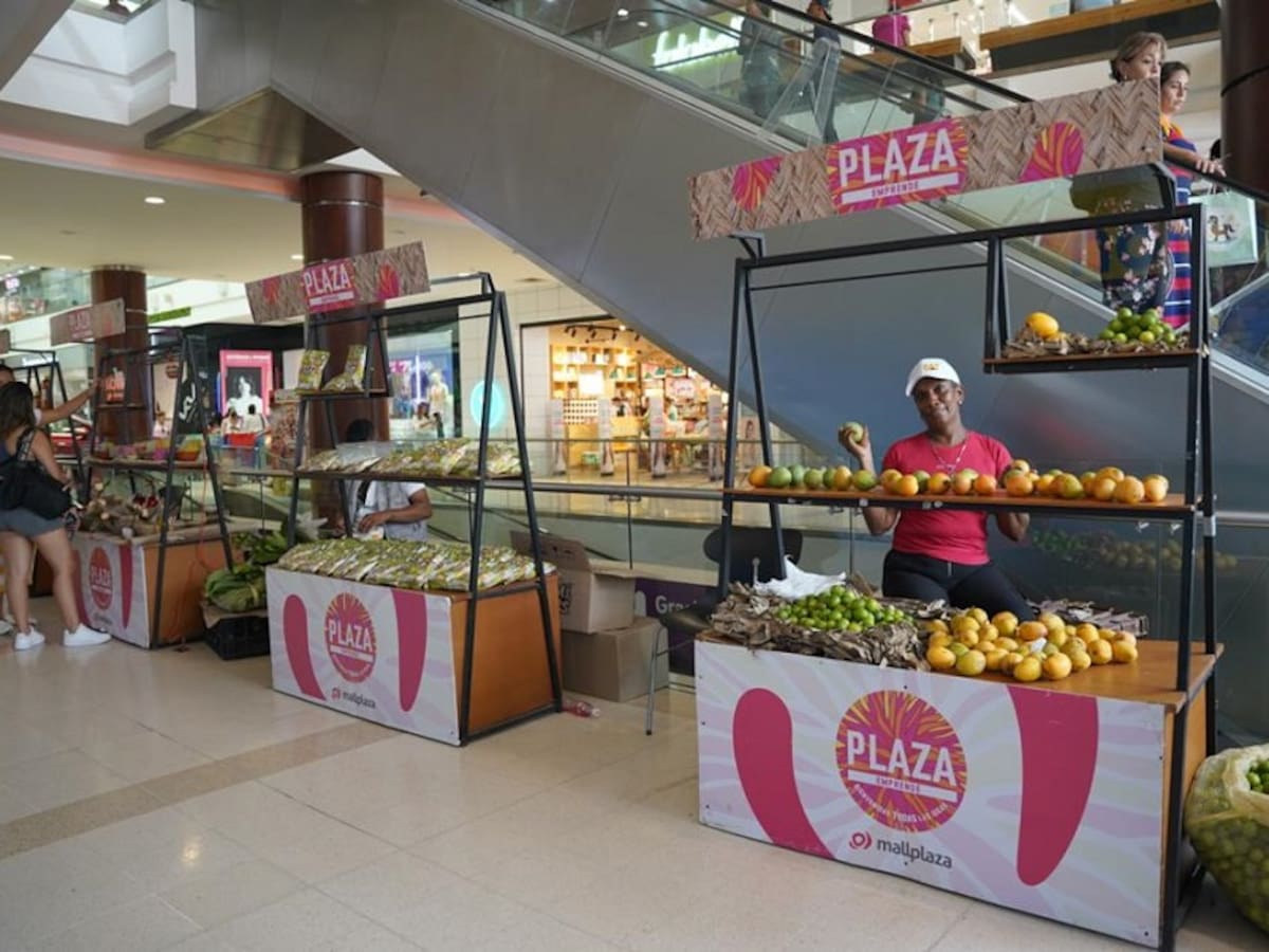 Gobernación de Bolívar inició sexto Mercado Campesino en Cartagena