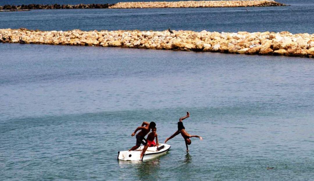 Fundación ‘Amigos del Mar’