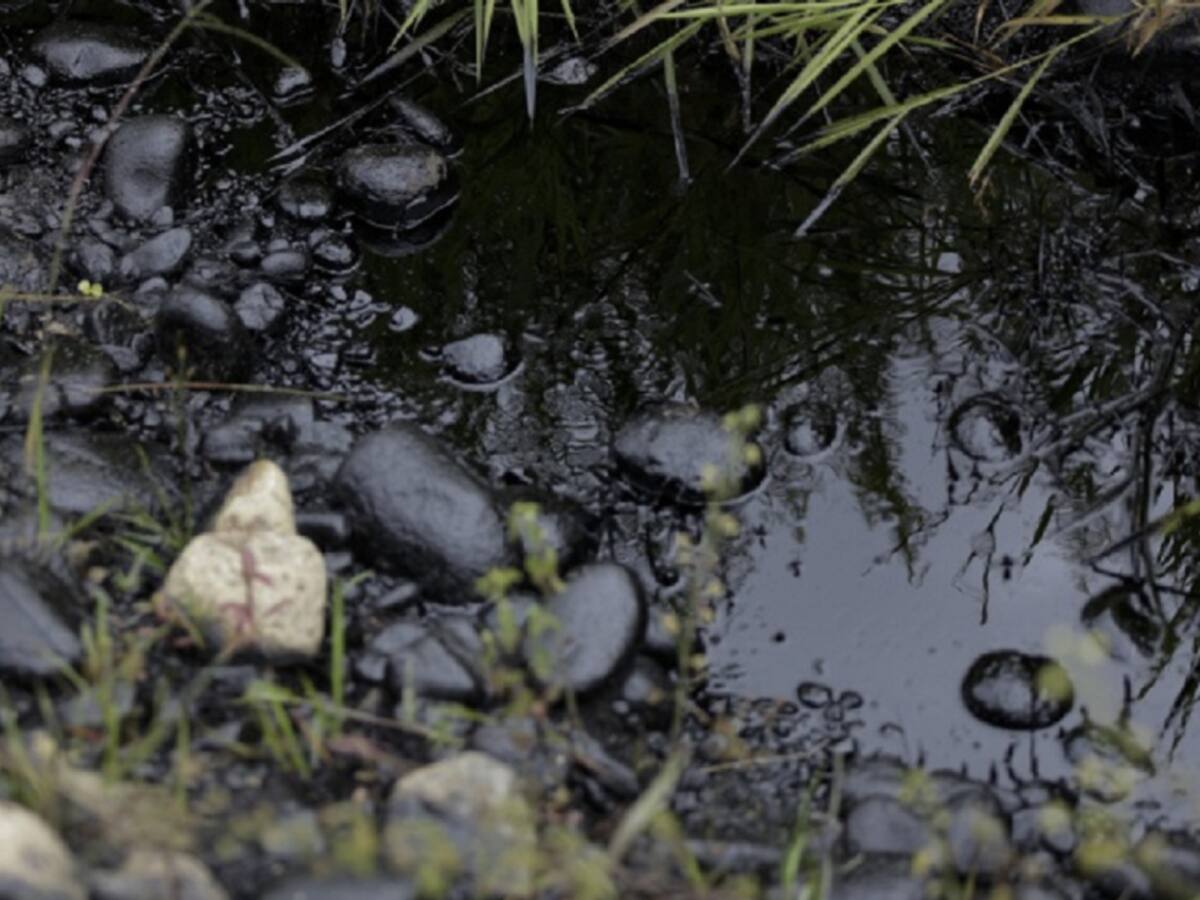 Comunidades en el Catatumbo preocupados por daño ambiental