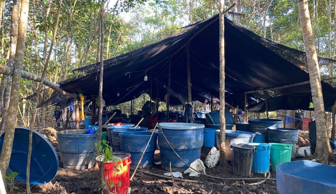 Foto: Ejército Nacional incautación de base de coca