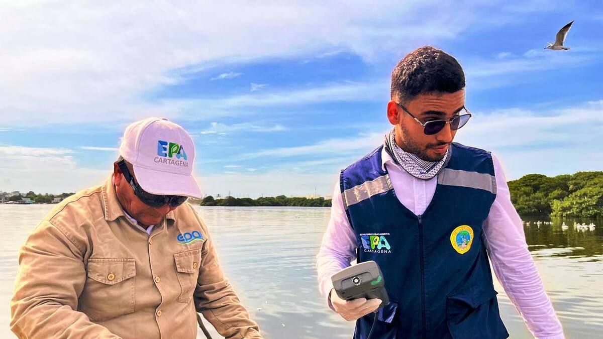 Evalúan la calidad ambiental de los canales que rodean el mercado de Bazurto