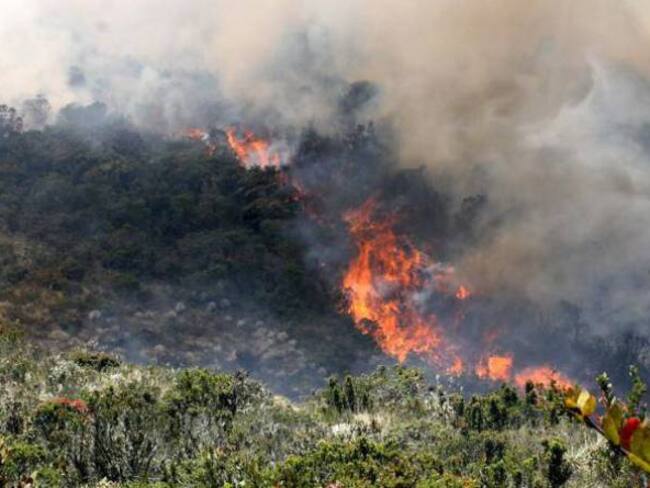 Incendio en Tópaga consumió cerca de 8 hectáreas de vegetación
