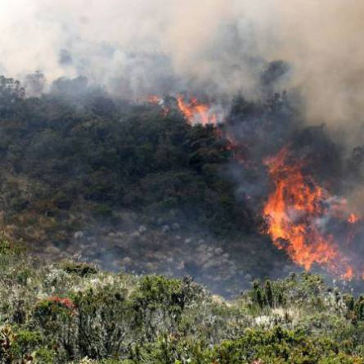 Sin control permanece un incendio forestal cerca a un páramo en Boyacá