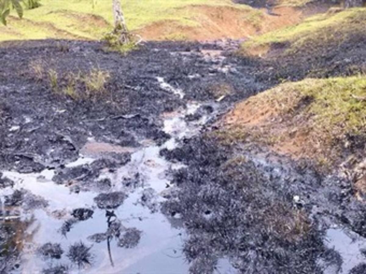 Ejército demandará a las Farc por daño ambiental en el Putumayo
