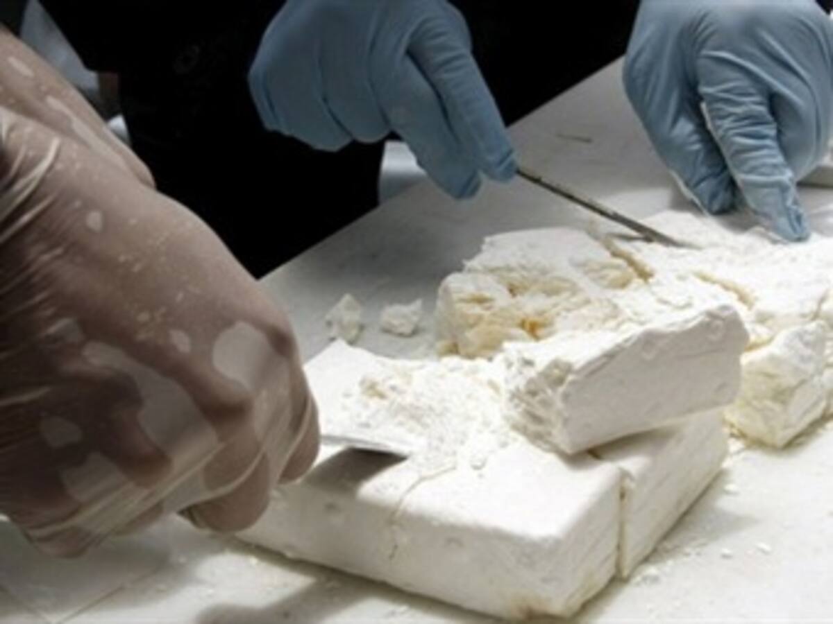 ONU elogia los esfuerzos de Colombia por reducir la fabricación de cocaína