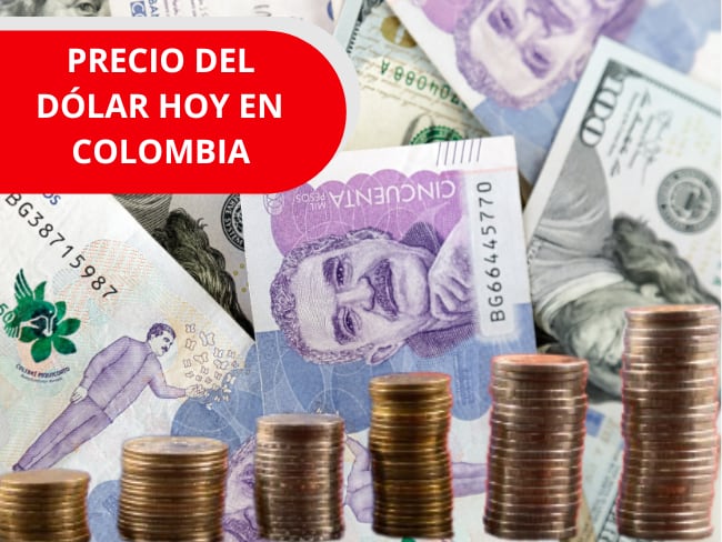 Imagen de referencia, fotos Getty images y Canva