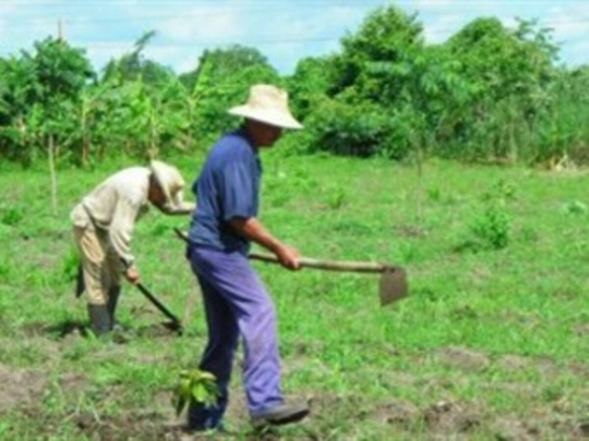Sindicadas 36 personas por adjudicación de 38 mil hectáreas en el Vichada