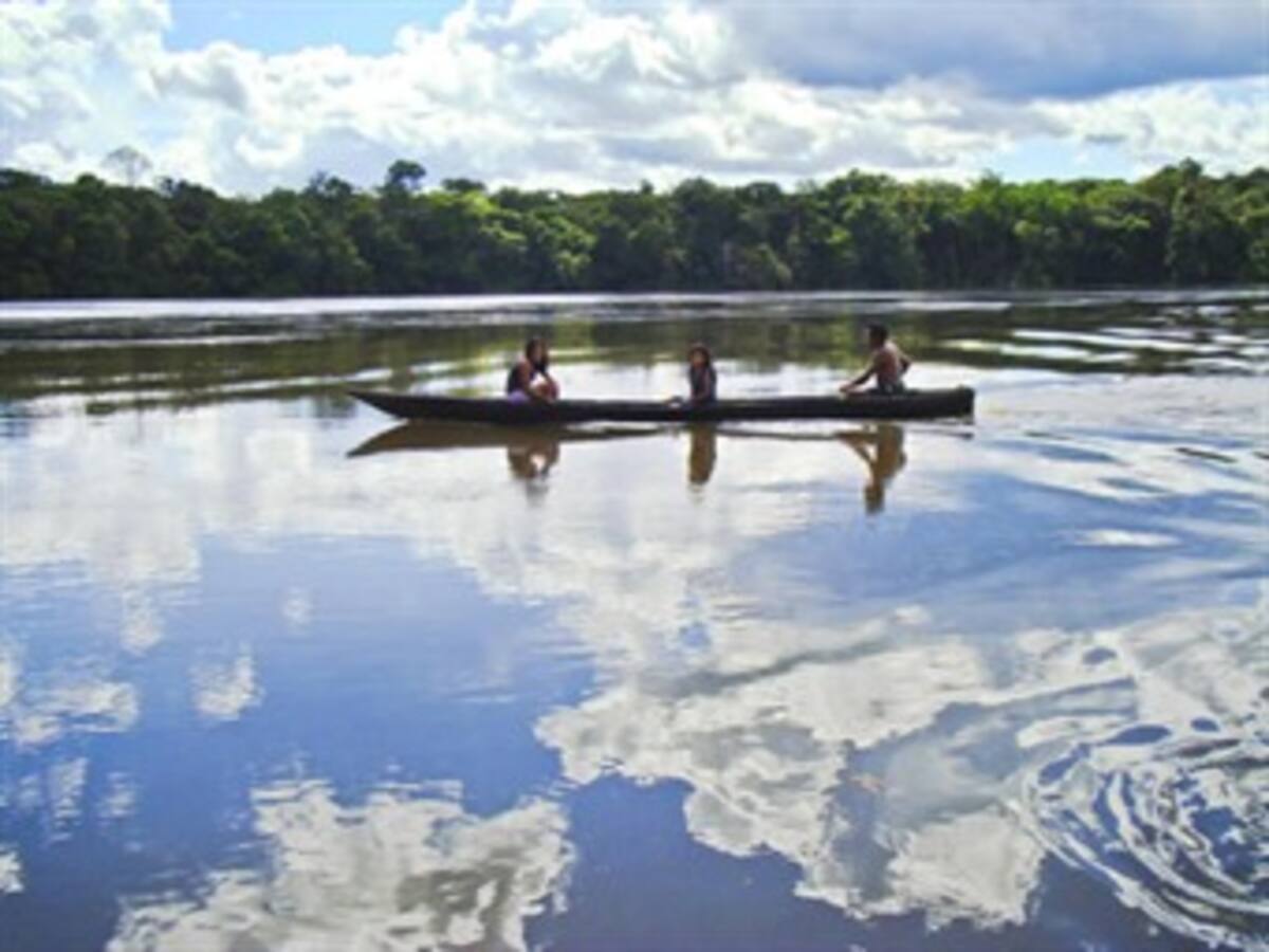 Multinacional asesoró a indígena para tumbar declaratoria de Parque Natural