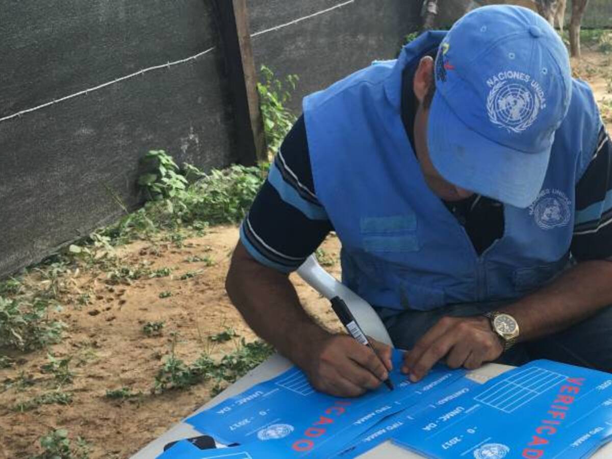 ¿Qué datos entrega el informe sobre la Misión de Verificación de la ONU en Colombia?