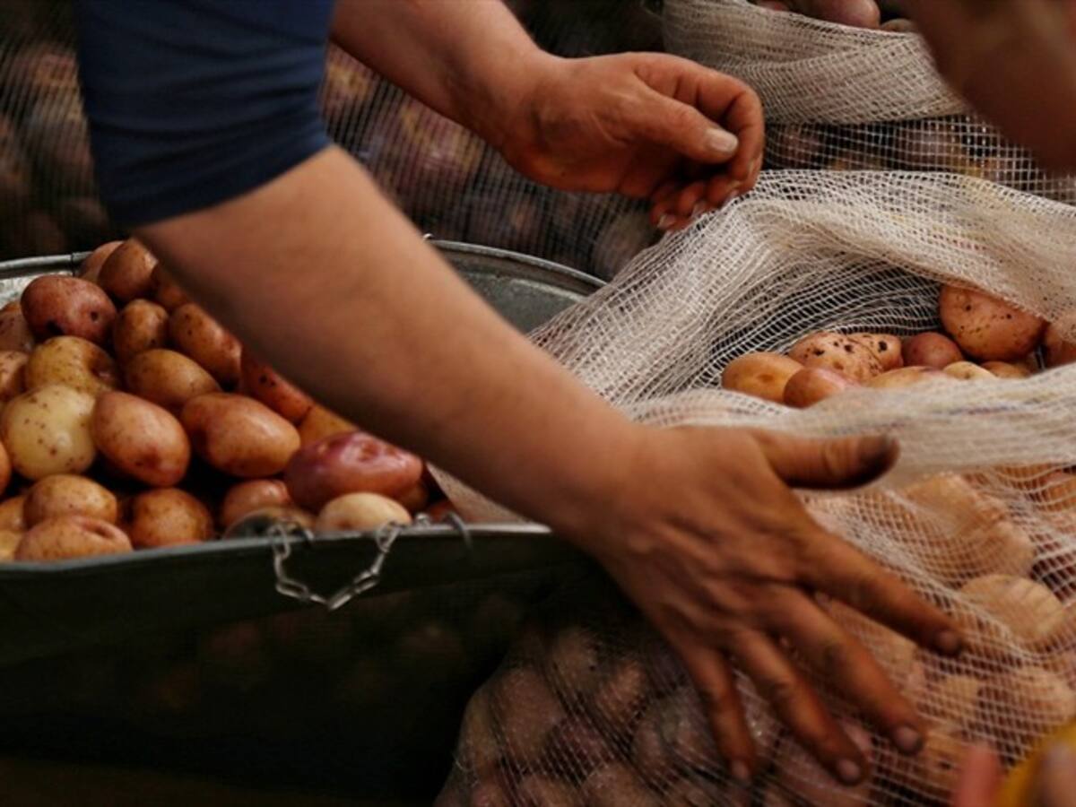 Denuncian sobrecostos en contratos de alimentación para atender el coronavirus en Guaduas