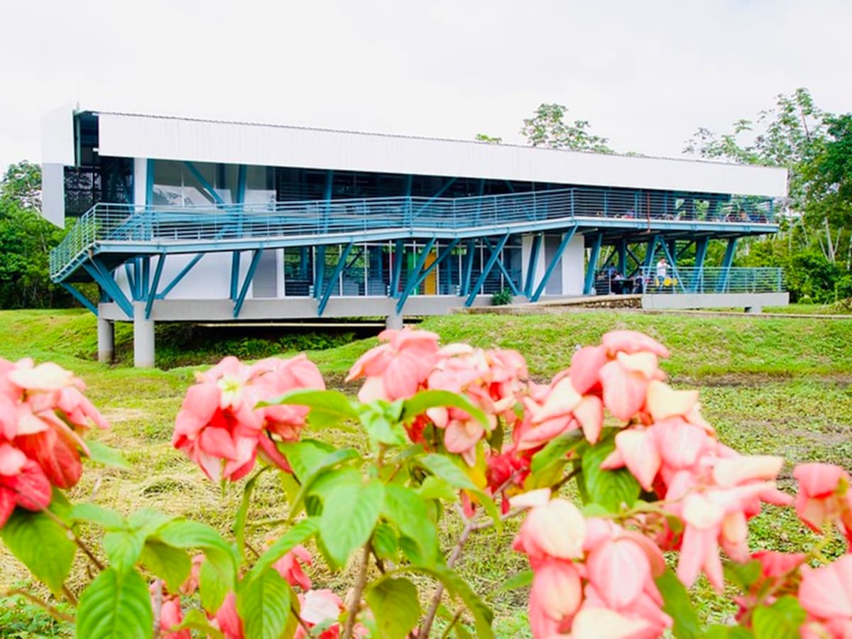 Dos hitos académicos: Colombia tendrá Universidad Policial y nueva sede pública en el Pacífico