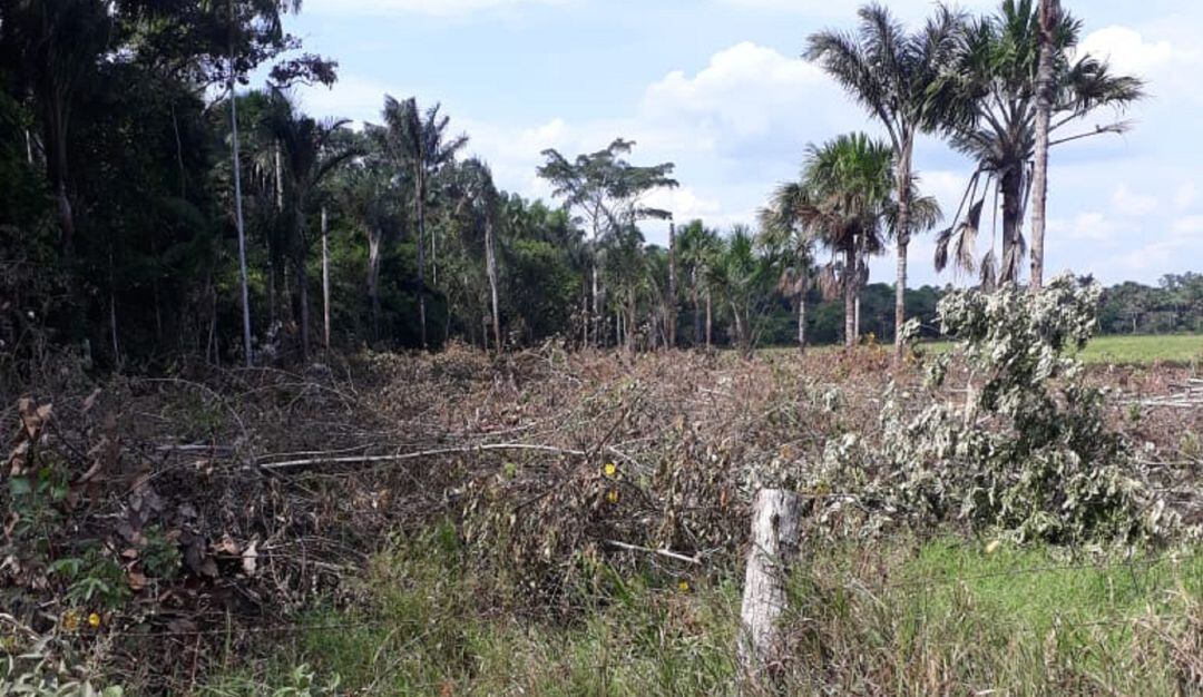 Medida cautelar para proteger el medio ambiente en Guaviare