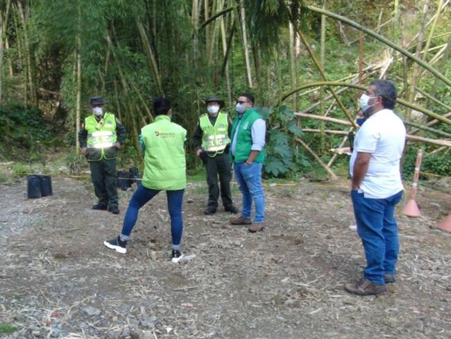 Exconcejal de Pereira fue amenazada por denunciar tala de guadua